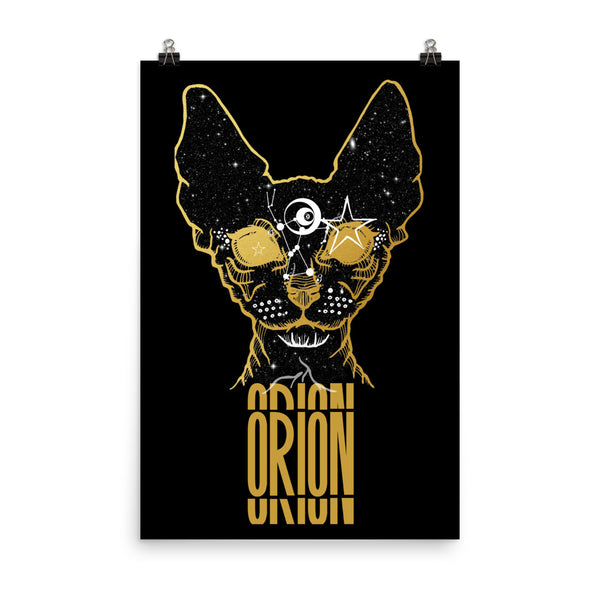 Orion's Cat